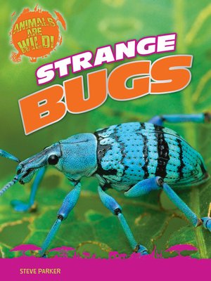 cover image of Strange Bugs